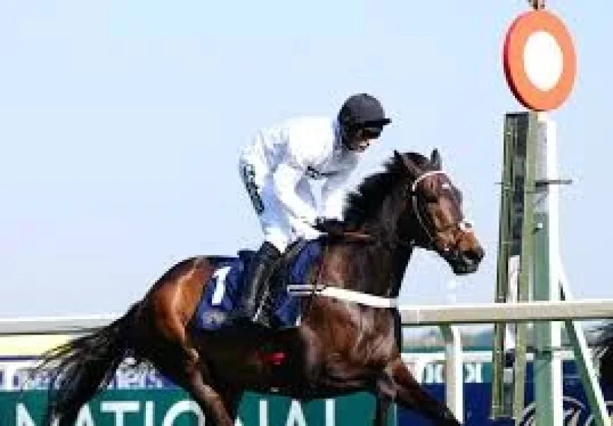 Nicky Henderson: Inside a Quiet Cheltenham Farewell and What It Reveals (5 Observations)