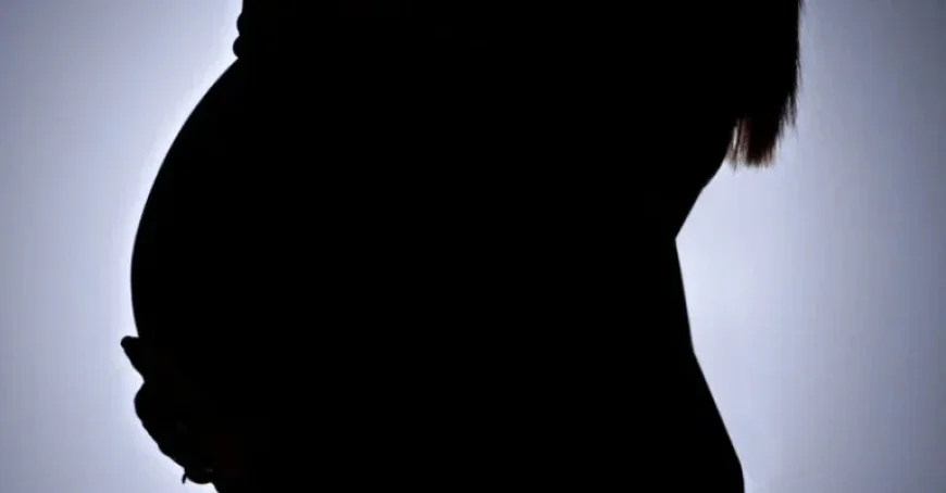 Donna Ockenden made Leeds maternity inquiry chair after families force U-turn