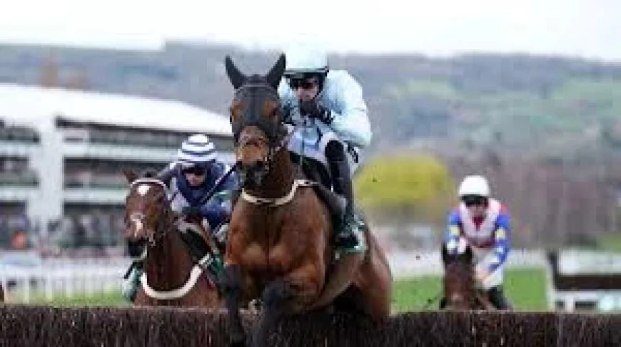 Racing Results: Kargese’s Arkle Upset and a Day of Surprises at Cheltenham
