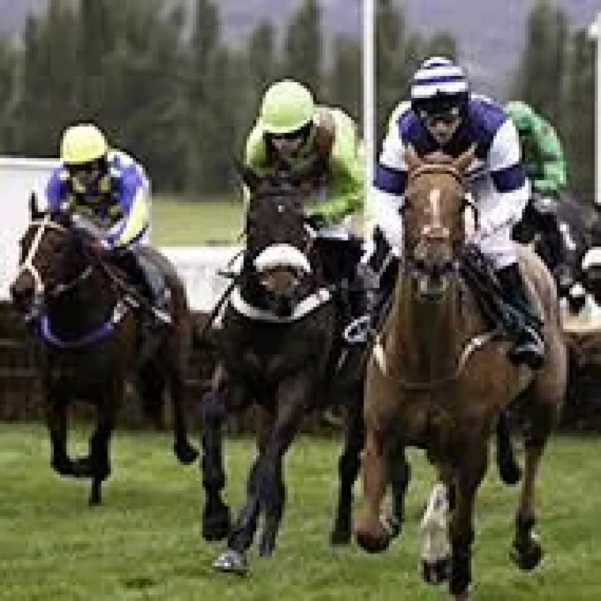 Hansard silence: RSPCA warns as 32 horses have died at Cheltenham Festival in the last decade