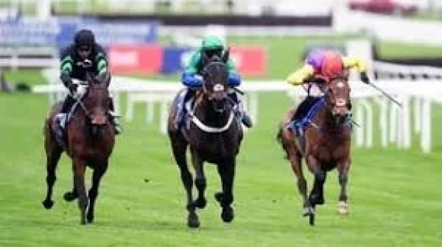 Cheltenham Results as Day One Unfolds at the 2026 Festival