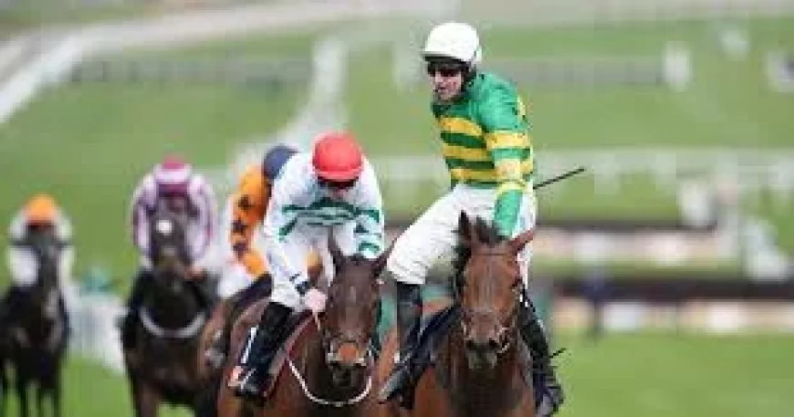 Constitution Hill’s Walk-On Part at Cheltenham as Festival Faces an Inflection Point