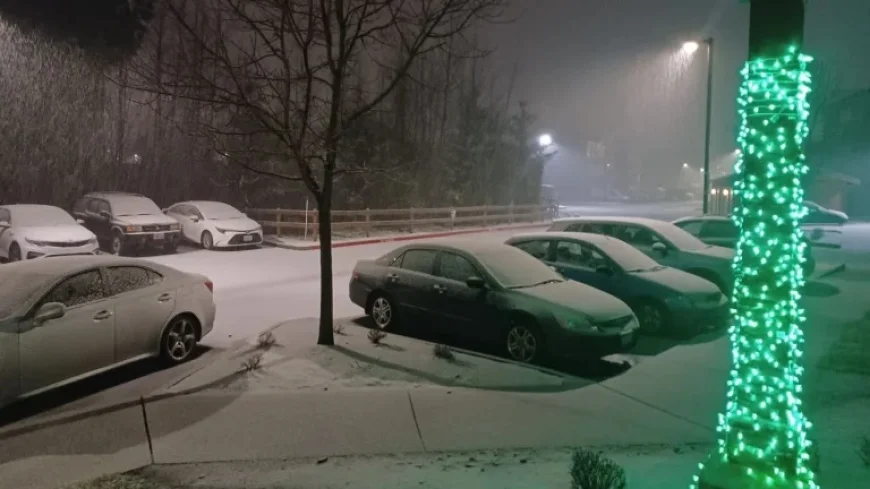 Winter Storm Warning: Snow hits North Sound as Cascades face blizzard conditions