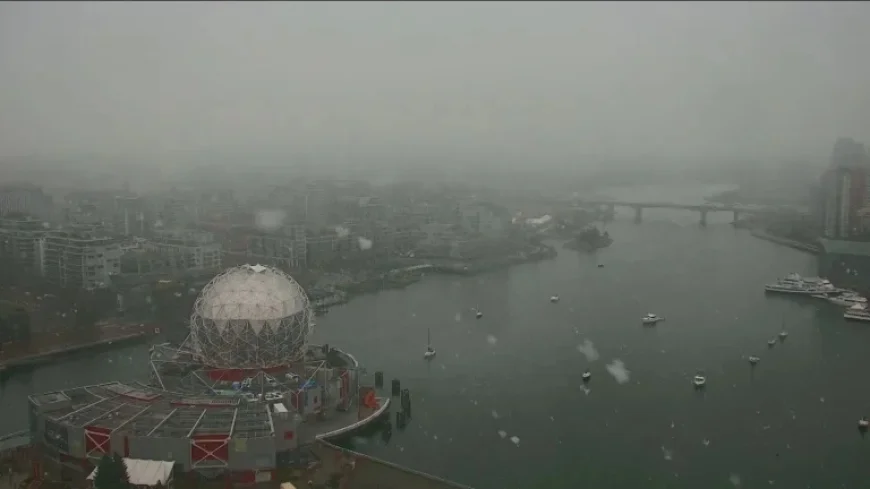 Vancouver Weather Forecast Reveals Widespread Snow Risk Across Southwestern B.C.