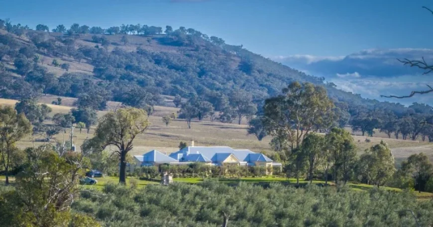 Mudgee corridor sale reveals contradiction at the heart of a premium agribusiness