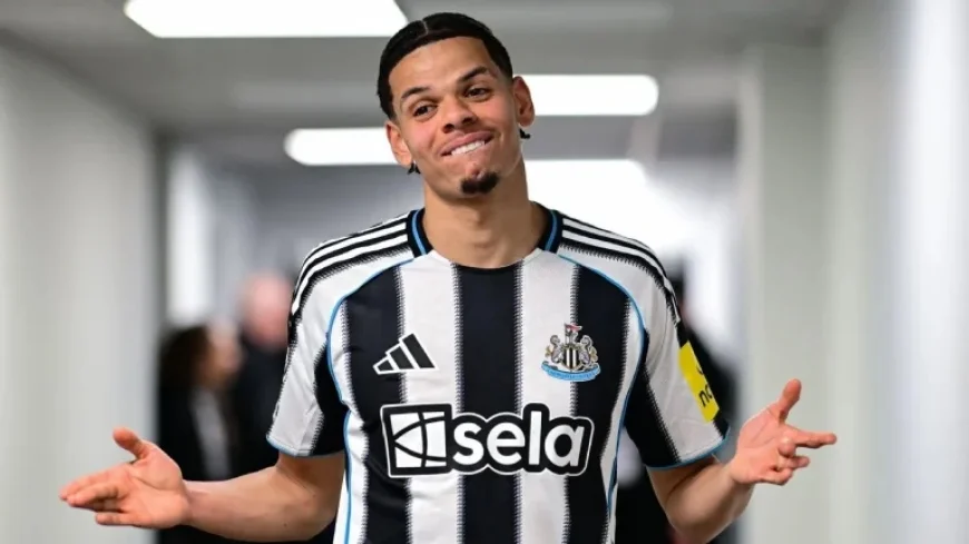 Osula Newcastle: 90th‑Minute Winner Caps 12‑Year Arc from Old Trafford Youth Prize to Premier League Shock