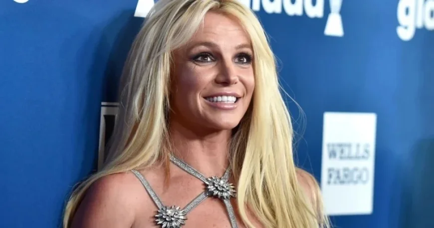 Britney Spears’ Sons Shun Responsibility Following Her Arrest: Source