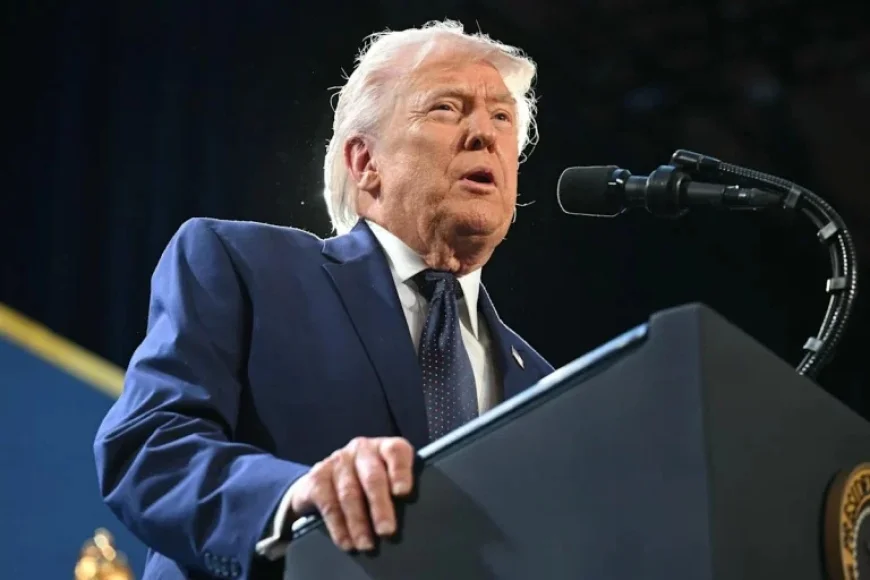 U.S. Borrows $50 Billion Weekly Over Last Five Months, Reports CBO