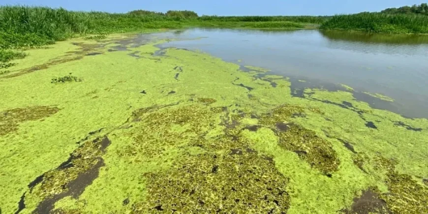 Earthquake Near Me: 4 Tremors in Under 10 Minutes Raise New Questions in Red River Parish