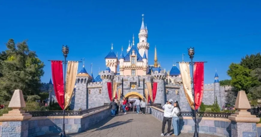Hazmat Incident at Disneyland: Five Employees Receive Treatment