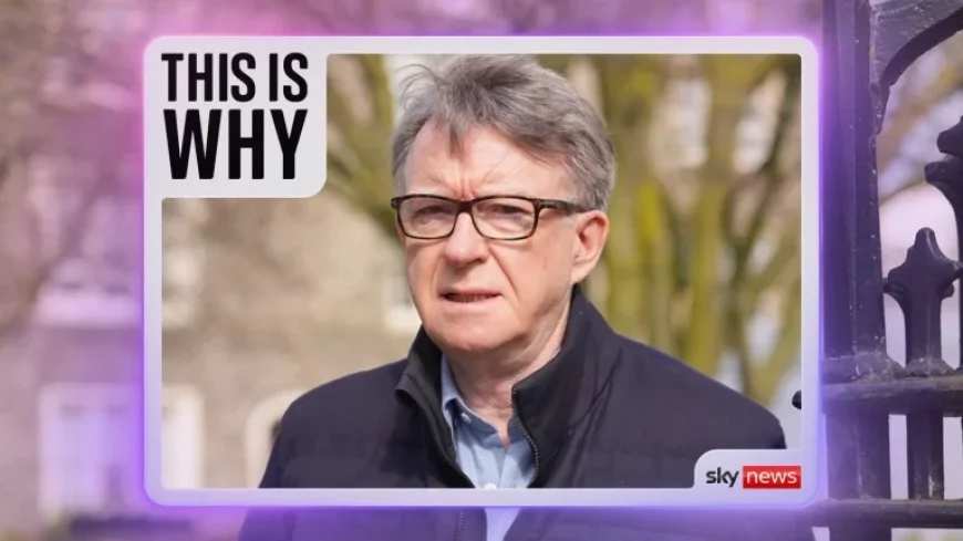 Starmer was warned of ‘reputational risk’ over Peter Mandelson links — files expose rushed appointment and payout contradictions