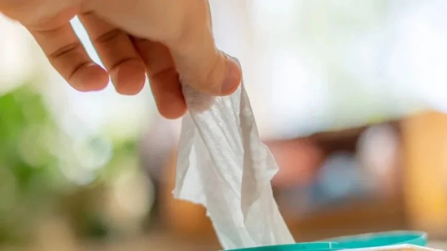 Wet Wipes linked to deadly outbreak force families to inspect first‑aid kits