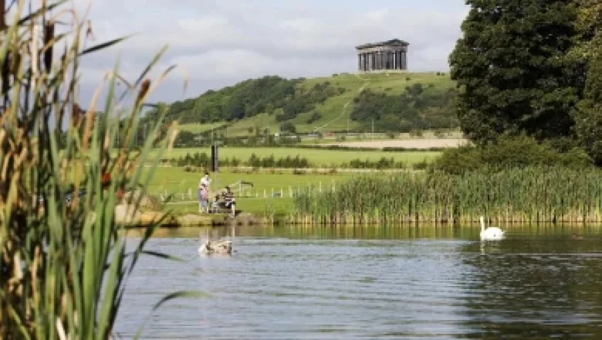 Landman: Michelle Randolph’s Moment as 2025 Unfolds