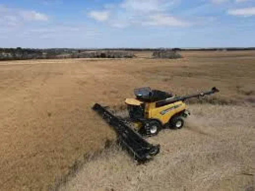 Kangaroo Island: Crop Farmers Well Placed as Parndana’s Wins Highlight Local Resilience