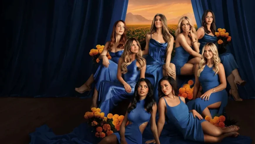 Mormon Wives Season 4 is here — and the real story is how the franchise is turning “MomTok” into a streaming sales engine