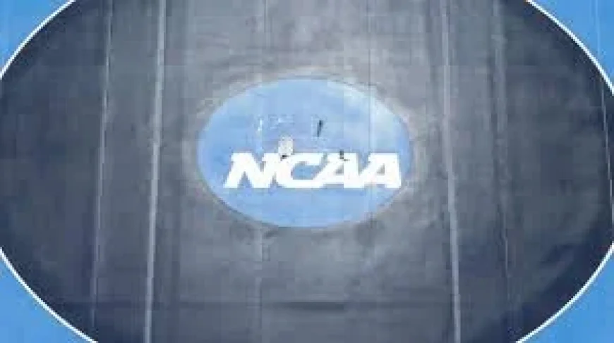 Ncaa Wrestling Brackets: The reveal show arrives as teams look past conference finals—and into a high-stakes silence