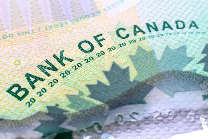 Canada Interest Rates as March Update Approaches: A Narrow Window for Policy Shifts