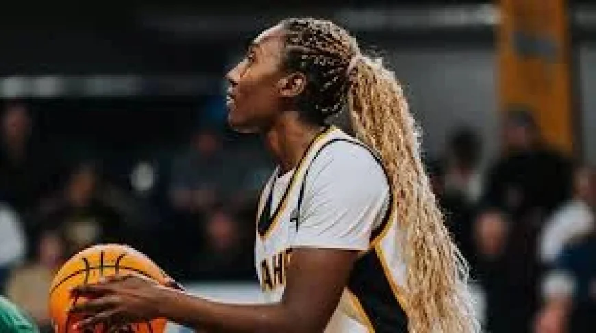 Montana Basketball title stakes rise as Idaho vs. Montana headlines point to a decisive Wednesday showdown