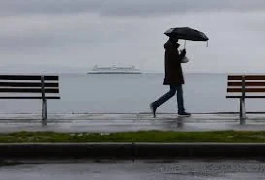 Power Outage Seattle: Whatcom Windstorm Leaves 11,423 Customer Addresses Without Electricity as Gusts Hit 50 mph