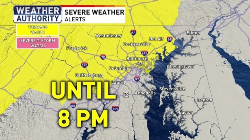 Power Outage Near Me: Line of storms exits Baltimore region Wednesday night