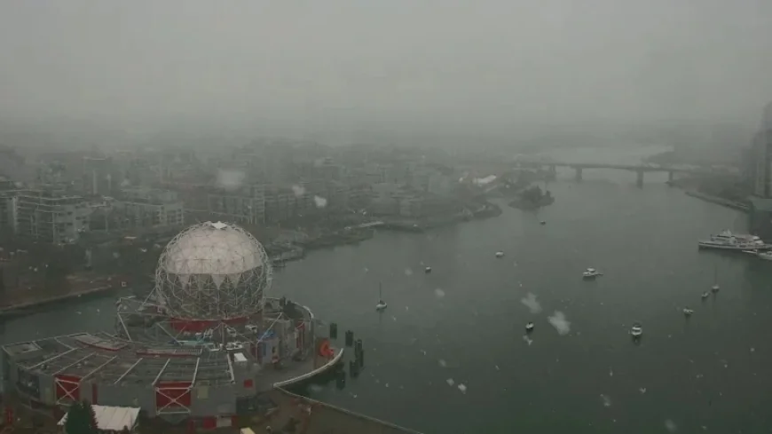 H Pacific storm brings high winds and alpine snow warnings across B.C.