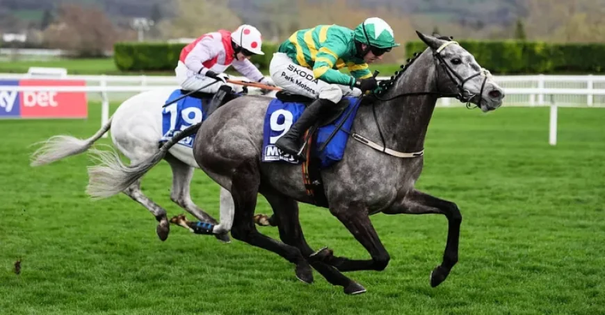 Cheltenham Weather: How a tipster’s call and a presenter’s briefing are shaping day three