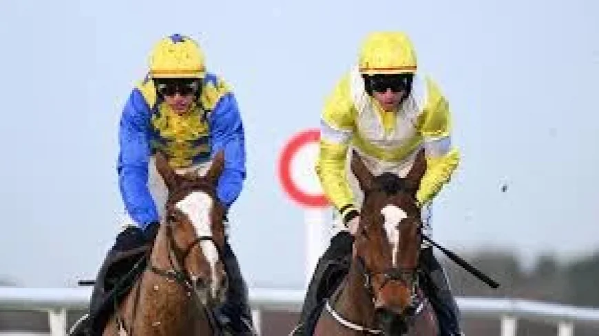 Bambino Fever: Clare Owners Hope For Another Memorable Cheltenham Moment