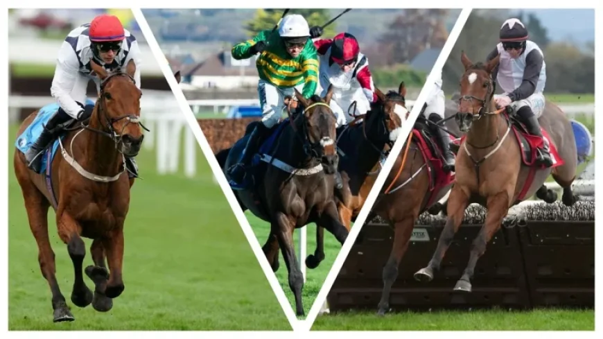 Home By The Lee win exposes Cheltenham contradictions and unanswered questions