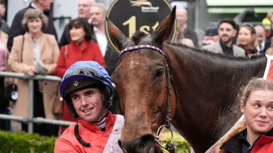 Henry De Bromhead as Cheltenham 2026 approaches