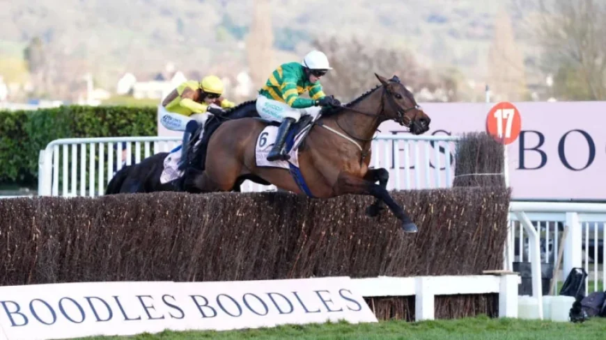 Gold Cup 2026: Defending Champion, Final Field and a Likely Farewell at Cheltenham