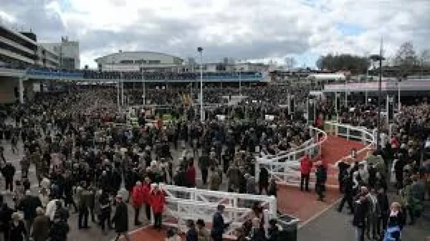 4.40 Cheltenham Result: Meetmebythesea Delivers for Ben Pauling in Jack Richards Chase