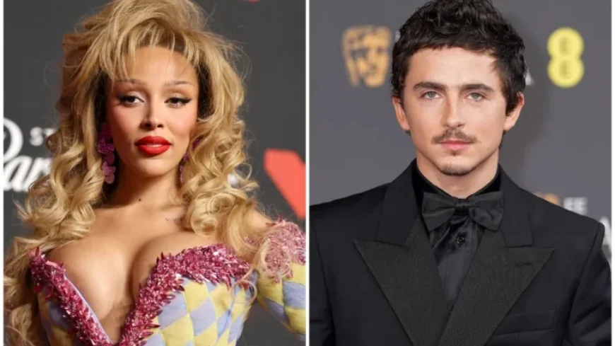 Doja Cat Retracts Criticism of Timothée Chalamet Amid Ballet, Opera Dispute