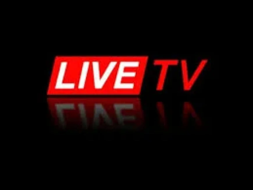 Celta Vigo Vs Lyon: Night of Violence at Vigo Bar Casts Shadow over European Tie