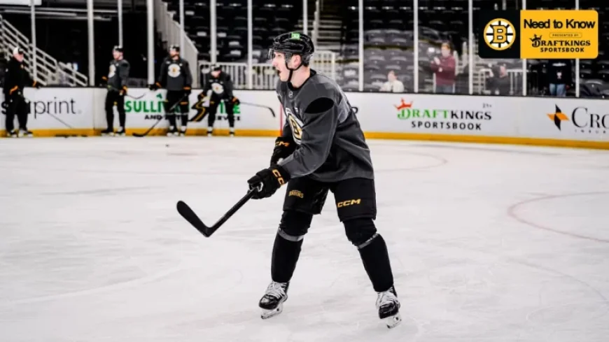 Sharks Vs Bruins: Boston Seeks 14th Straight Home Win as Celebrini Arrives