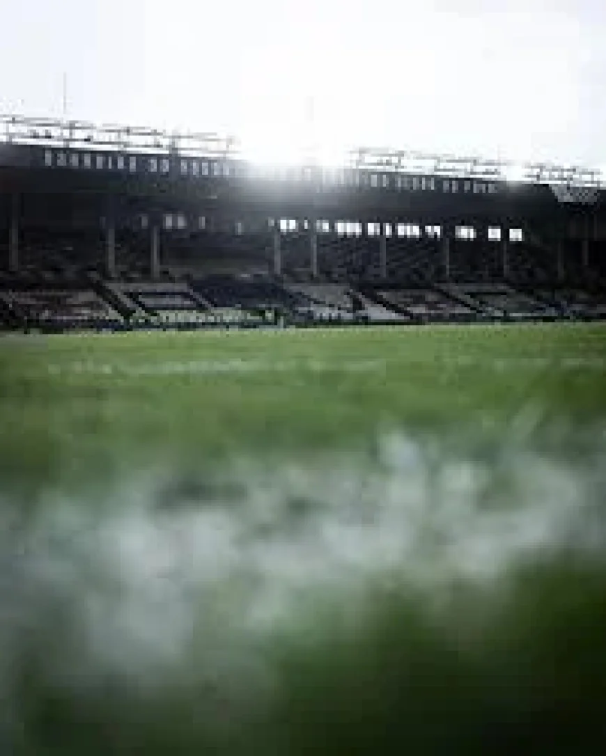 Vasco Da Gama Vs Palmeiras exposes a paradox: fan optimism against harsh table facts