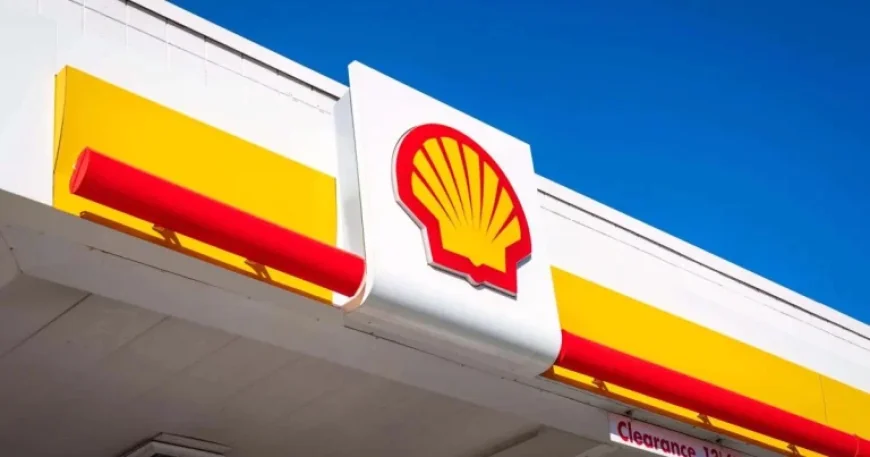 Failure Pays Well: Shell CEO Bags 60% Pay Rise as Profits Slide and the Planet Warms