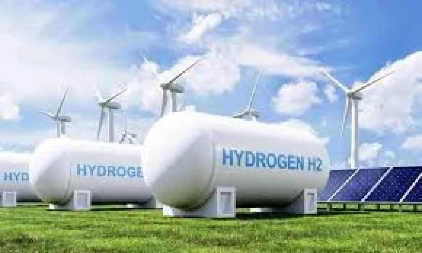 Hydrogen in Namibia: 5 Red Flags for Penguins, Succulents and a $10 Billion Promise