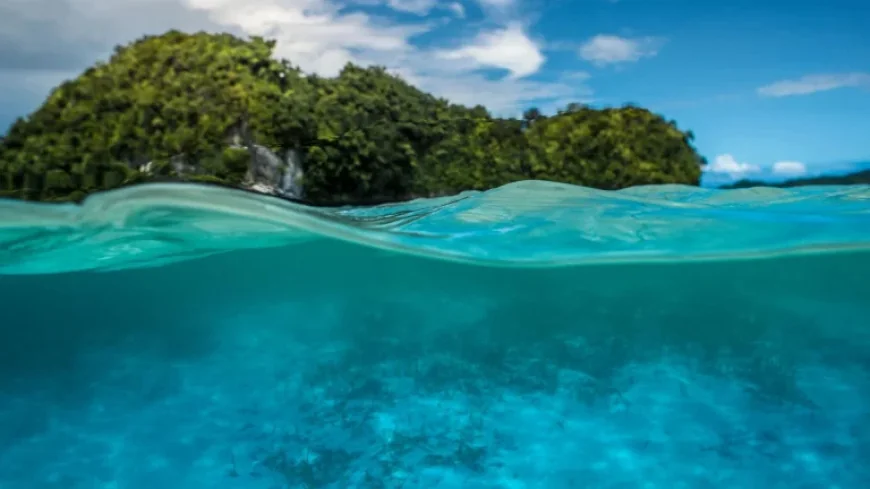 El Nino Forecast: Big 2026 Event Possible, La Nina Returns in 2027