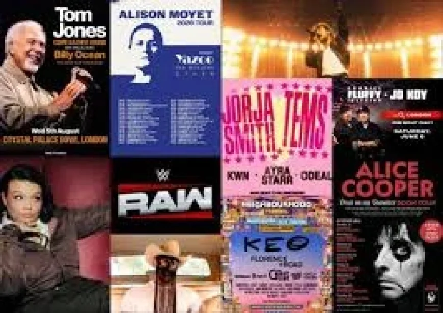 Alison Moyet: 2026 UK and European tour marks a renewed live chapter