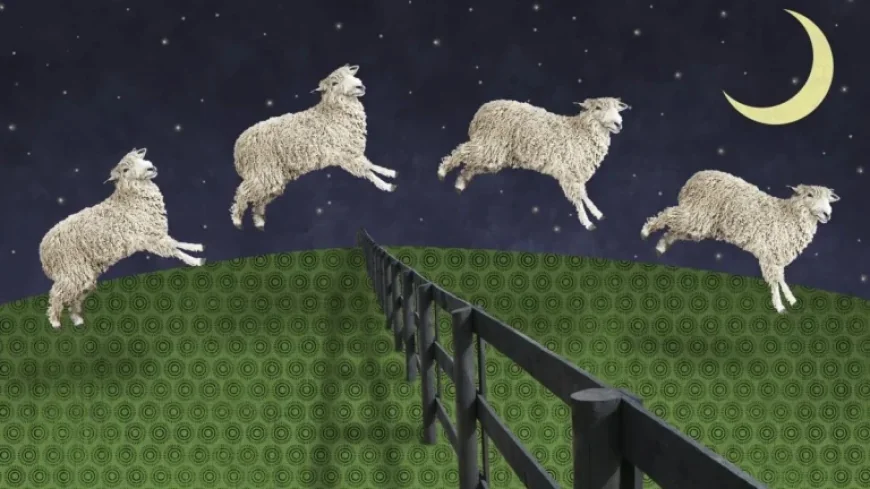 World Sleep Day: New Rules from Top Experts That Could Upend Your Night Routine