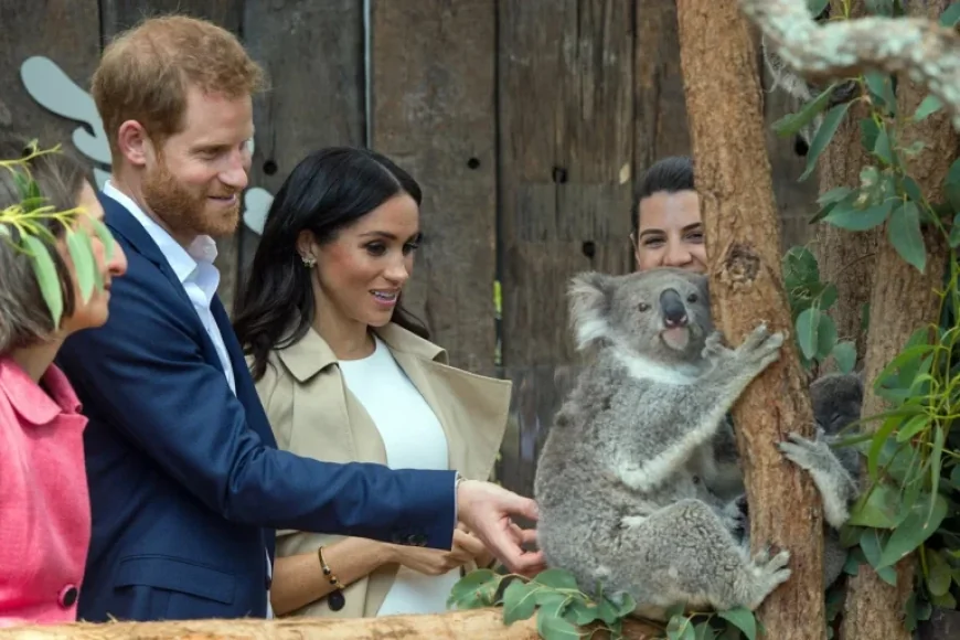 Harry and Meghan Visit Australia: Royal Tensions Persist