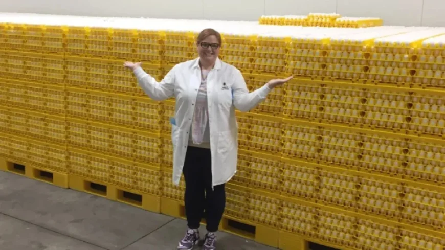 Egg Prices Plunge: Reasons Behind This Year’s Decrease