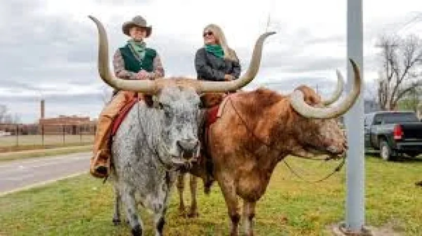 St Patricks Day Parade: A Choctaw-Irish festival in Calera turns history into a living street-level celebration