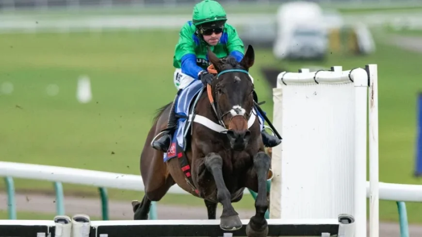 Dawn Run of the Novices? Timeform Ratings Reveal a British Challenge Short on Depth