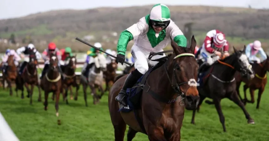 Wilful by far the best in County Hurdle for Jonjo O’neill Jr as family operation shines at Cheltenham