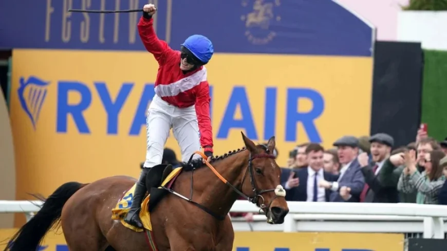 Envoi Allen Horse collapses and dies after Cheltenham Gold Cup