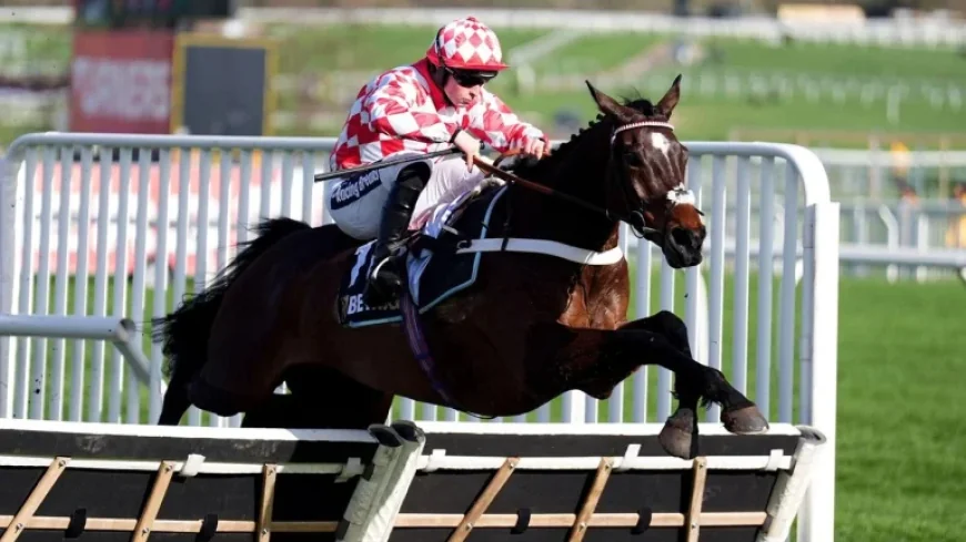 Tony Barney Horse Owner: Jingko Blue’s front-running flourish that kept an owner waiting