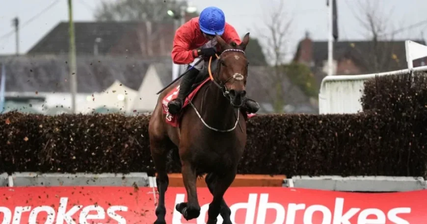 Envoi Allen Horse: Tragedy at the Cheltenham Gold Cup