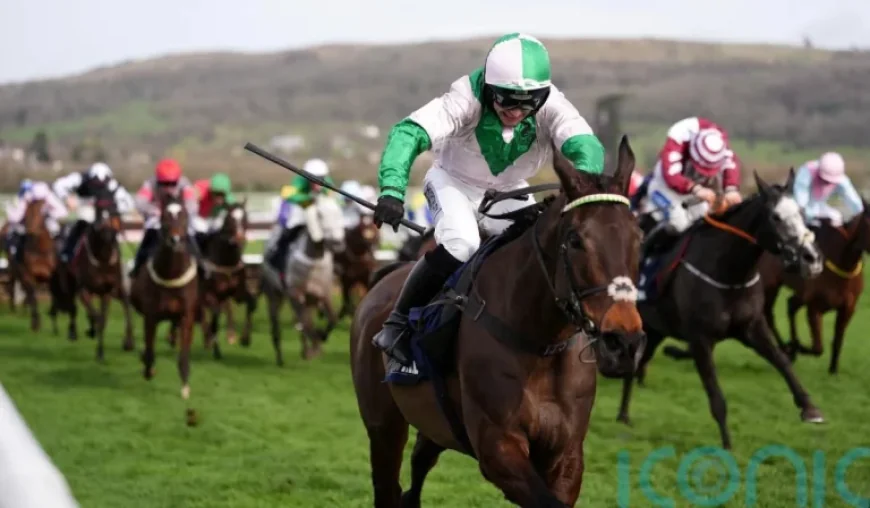 Jonjo O’neill: Cheltenham turning point as Wilful storms to County Hurdle victory