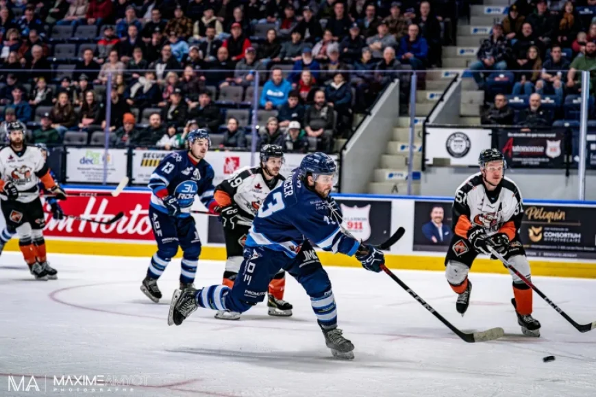 Lnah: 3L Sent Back to Rimouski for Third Straight Playoff Shift — What the Move Reveals
